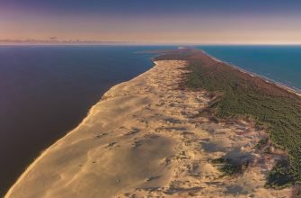 Панорамный вид Куршской косы с дюнами, лесом и Балтийским морем