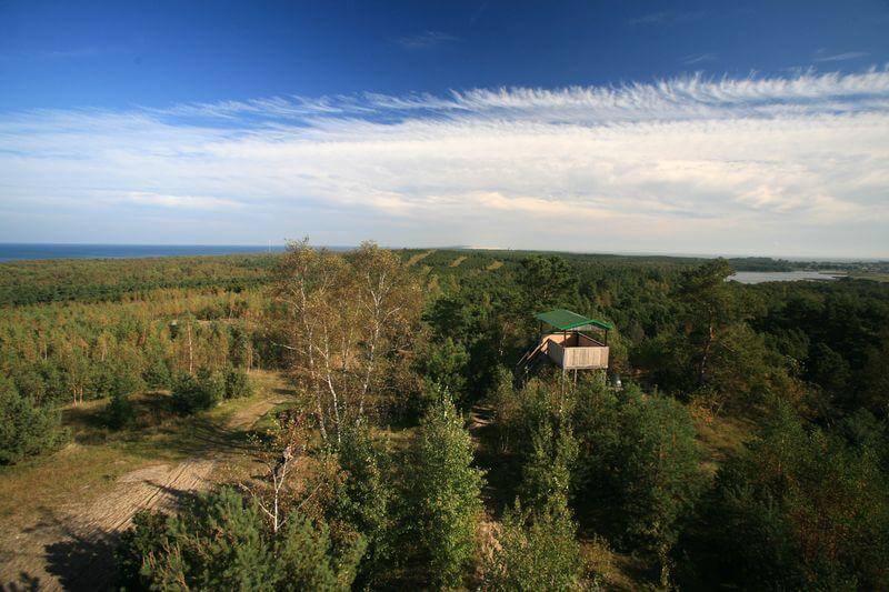 Панорама с Высоты Мюллера на Куршской косе