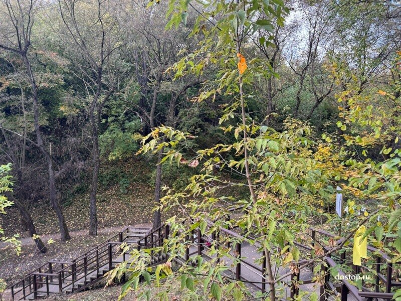 Осенний Голосов овраг в Коломенском — прогулочная тропа среди деревьев