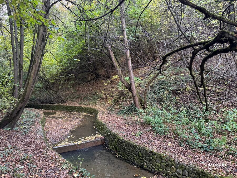 Голосов овраг в Коломенском — природный памятник с ручьем и дубами