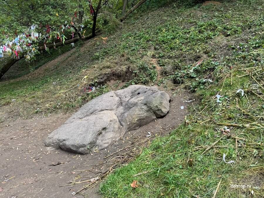 Гусь-камень — древний валун в Голосовом овраге