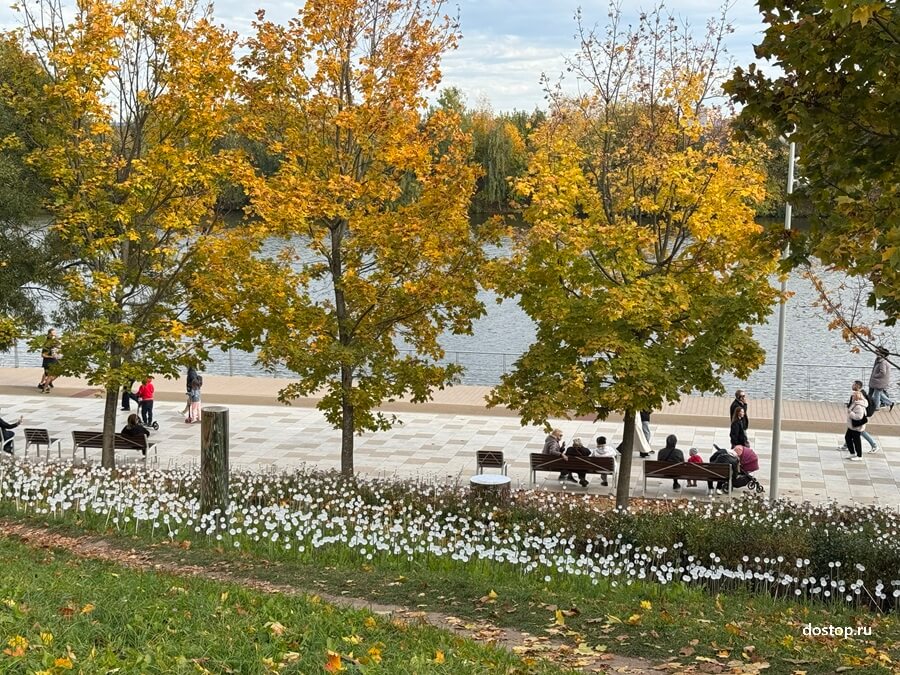 Осенний вид Царской набережной в Коломенском — зона отдыха с цветниками и аллеями