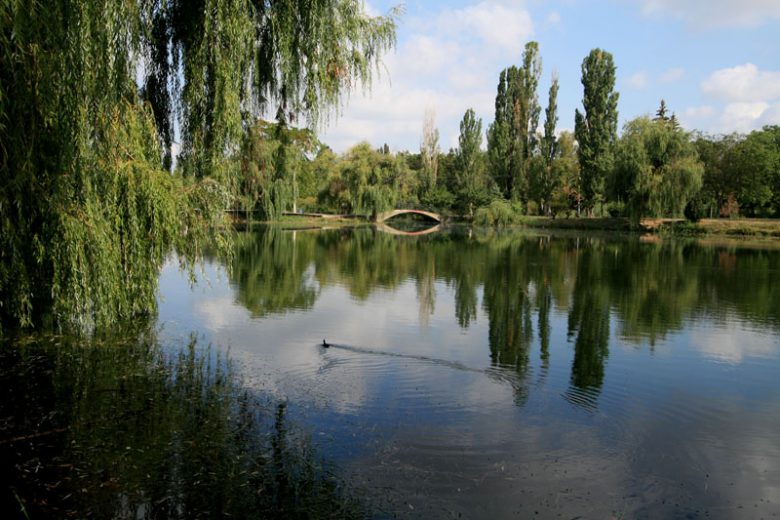 Гагаринский парк Симферополь