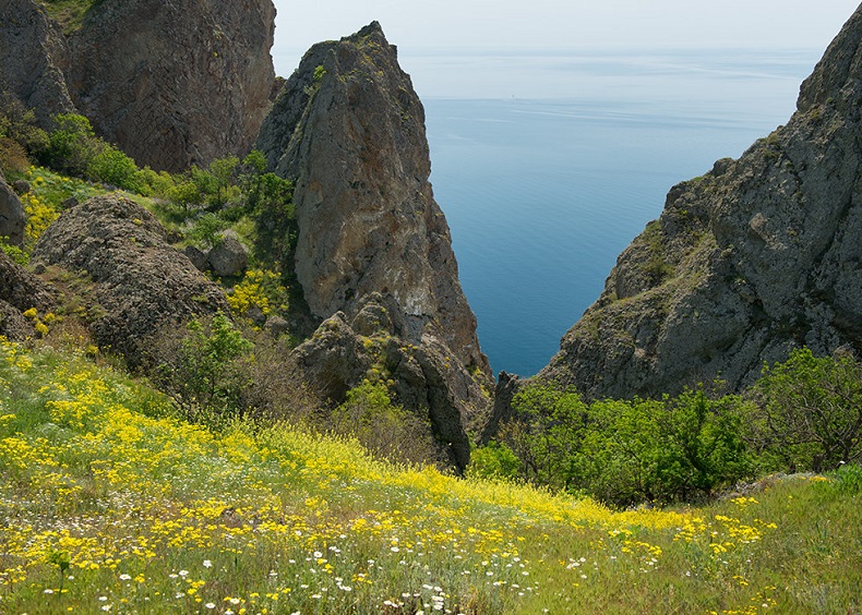 Карадагский заповедник