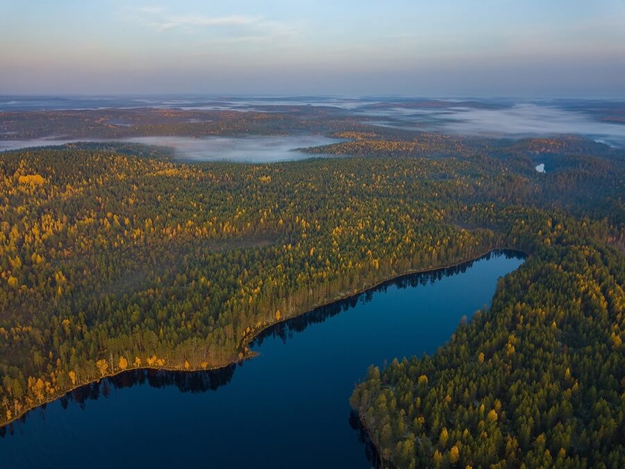 Леса и озера Национального парка Водлозерский в Карелии