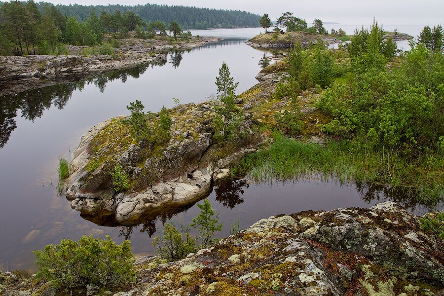Остров Пеллотсари в Карелии