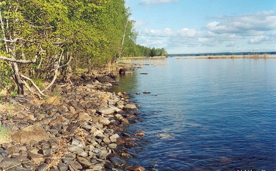 Берег Онежского озера на полуострове Заонежье в Карелии
