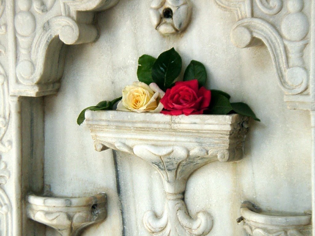 Розы на фонтане слез