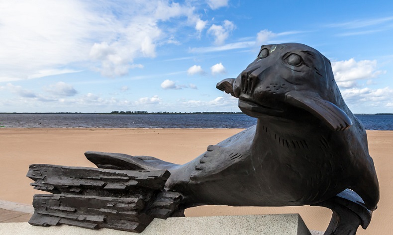 Памятник тюленю