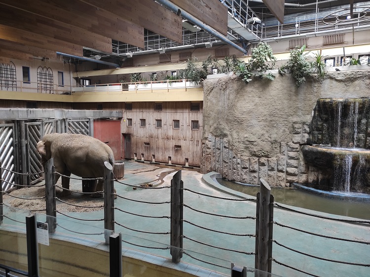Слоновник в Московском зоопарке
