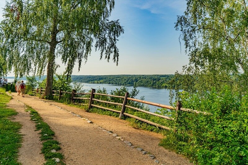 Летняя прогулка по берегу Волги в Плёсе с видом на реку и лес