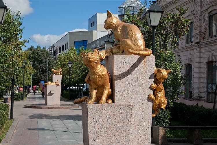 Сквер сибирских кошек Тюмень