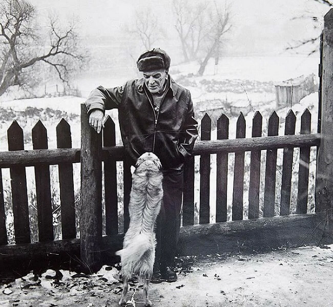 Паустовский с собакой фото