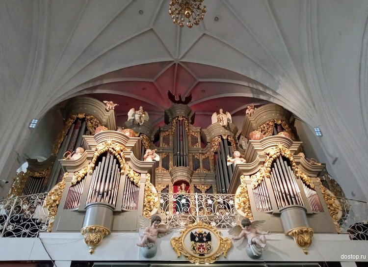 Орган Кафедрального собора