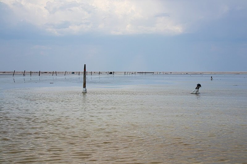 Мелководье и соленая вода на озере Баскунчак летом