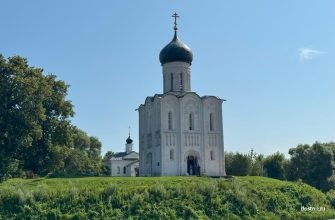 Храм Покрова на Нерли летом, вид крупным планом