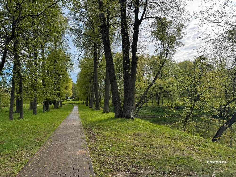 Прогулочная аллея в Городском парке культуры и отдыха Чехова весной