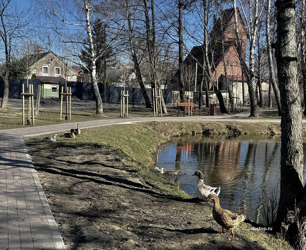 Пруд рядом с кирхой Гросс Курена в поселке Приморье